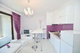 Апартаменты Pearl Shell Apartments Котор Апартаменты с 2 спальнями, балконом и видом на море-15